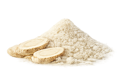 Astragalus