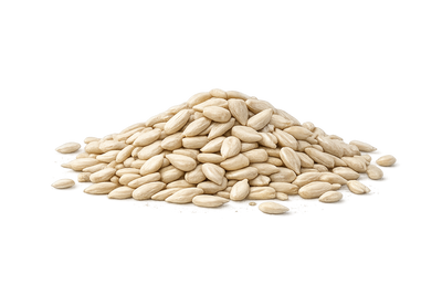 Sunflower Seeds